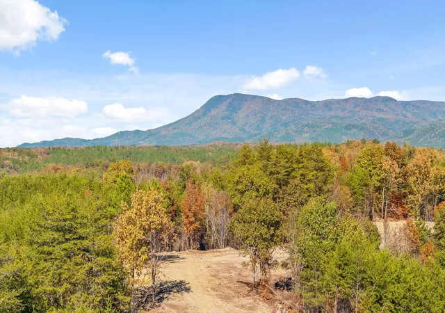 Photo 2 of Land for sale at Tr 92-1 Conniston Rd, Chatsworth, GA 30705 | MLS# 1535656 | Listing updated on 2026-05-29