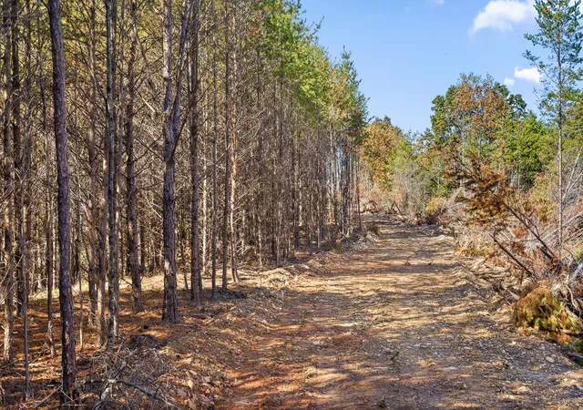 Photo 3 of Land for sale at Tr 92-1 Conniston Rd, Chatsworth, GA 30705 | MLS# 1535656 | Listing updated on 2026-05-29