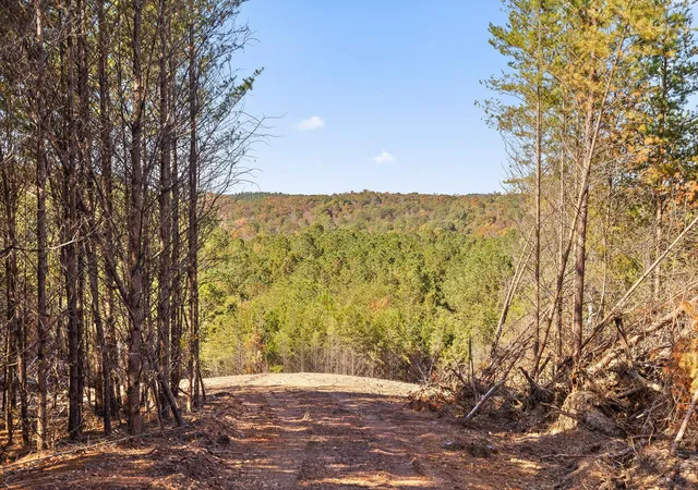 Photo 4 of Land for sale at Tr 92-1 Conniston Rd, Chatsworth, GA 30705 | MLS# 1535656 | Listing updated on 2026-05-29