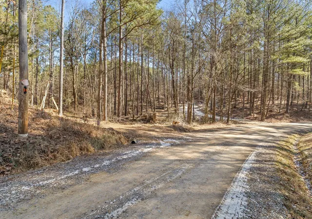 Homes for sale in Chatsworth, GA | Tract 1 Conniston Rd, Chatsworth, GA 30705 | MLS# 1535660