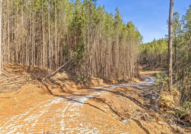Homes for sale in Chatsworth, GA | Tract 1 Conniston Rd, Chatsworth, GA 30705 | MLS# 1535660