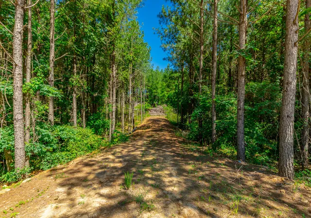 Homes for sale in Guild, TN | 0 Split Rail Wy #Lot 1163, Guild, TN 37340 | MLS# 1536345