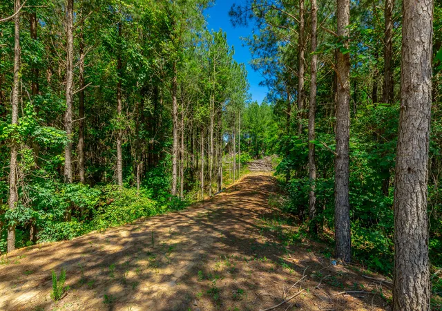 Homes for sale in Guild, TN | 0 Split Rail Wy #Lot 1163, Guild, TN 37340 | MLS# 1536345