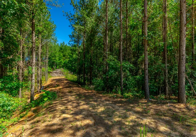 Homes for sale in Guild, TN | 0 Split Rail Wy #Lot 1163, Guild, TN 37340 | MLS# 1536345