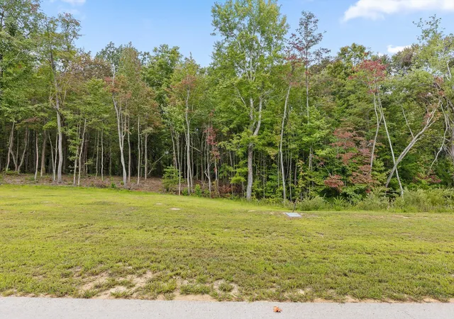 Photo 3 of Land for sale at 3274 River Gorge Dr, Chattanooga, TN 37419 | MLS# 1535682 | Listing updated on 2026-06-23