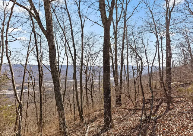 Photo 3 of Land for sale at 4233 Amethyst Rd, Chattanooga, TN 37419 | MLS# 1535684 | Listing updated on 2026-06-23