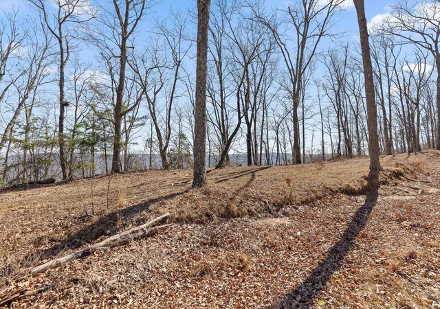 Photo 3 of Land for sale at 4233 Amethyst Rd, Chattanooga, TN 37419 | MLS# 1535684 | Listing updated on 2026-06-23