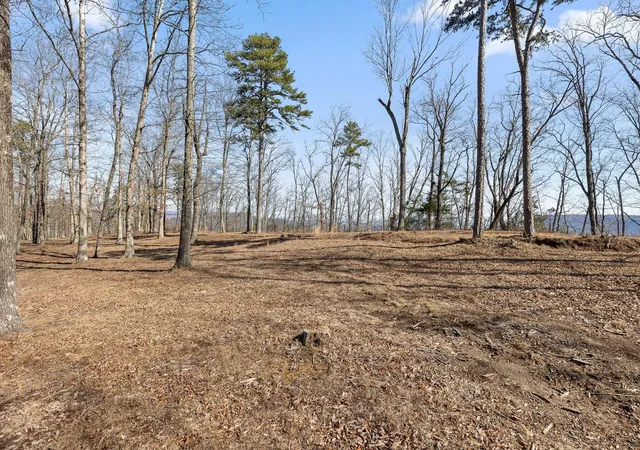 Photo 4 of Land for sale at 4233 Amethyst Rd, Chattanooga, TN 37419 | MLS# 1535684 | Listing updated on 2026-06-23