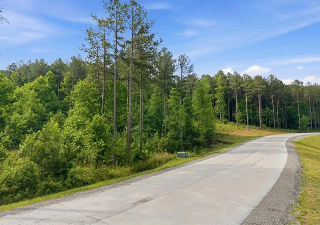 Homes for sale in Guild, TN | 0 Birds Eye Wy #1099, Guild, TN 37340 | MLS# 1535897