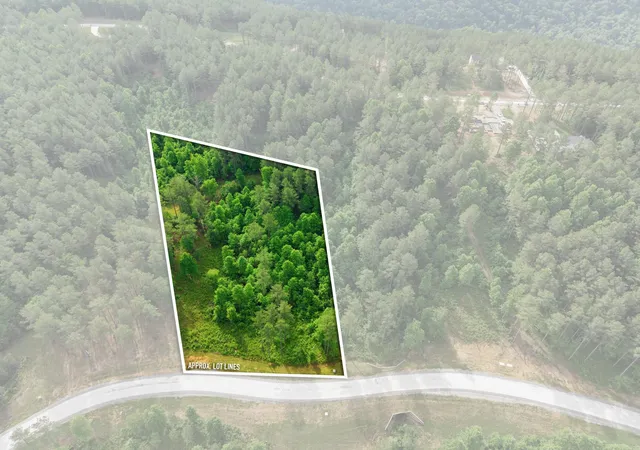 Homes for sale in Guild, TN | 0 Birds Eye Wy #1099, Guild, TN 37340 | MLS# 1535897