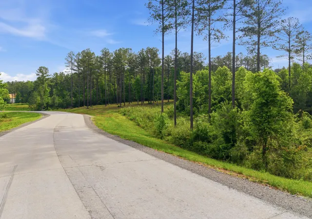 Homes for sale in Guild, TN | 0 Birds Eye Wy #1099, Guild, TN 37340 | MLS# 1535897