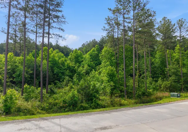 Homes for sale in Guild, TN | 0 Birds Eye Wy #1099, Guild, TN 37340 | MLS# 1535897