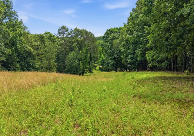 Homes for sale in Soddy Daisy, TN | 10675 Lovell Rd, Soddy Daisy, TN 37379 | MLS# 1535913