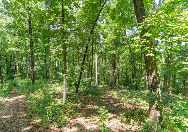 Photo 3 of Land for sale at 8833 Kelso Ln, Chattanooga, TN 37421 | MLS# 1536469 | Listing updated on 2026-07-28