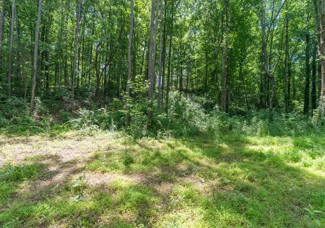 Photo 4 of Land for sale at 8833 Kelso Ln, Chattanooga, TN 37421 | MLS# 1536469 | Listing updated on 2026-07-28