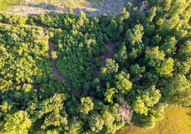 Homes for sale in Trenton, GA | 00 Hwy 301 #Lot 3, Trenton, GA 30752 | MLS# 1536050