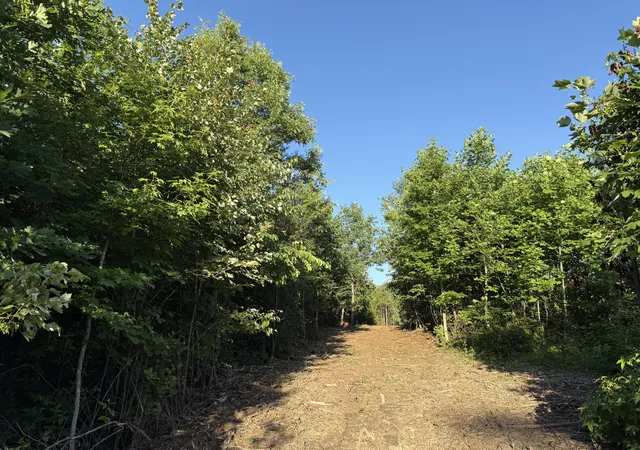Homes for sale in Trenton, GA | 00 Hwy 301 #Lot 3, Trenton, GA 30752 | MLS# 1536050