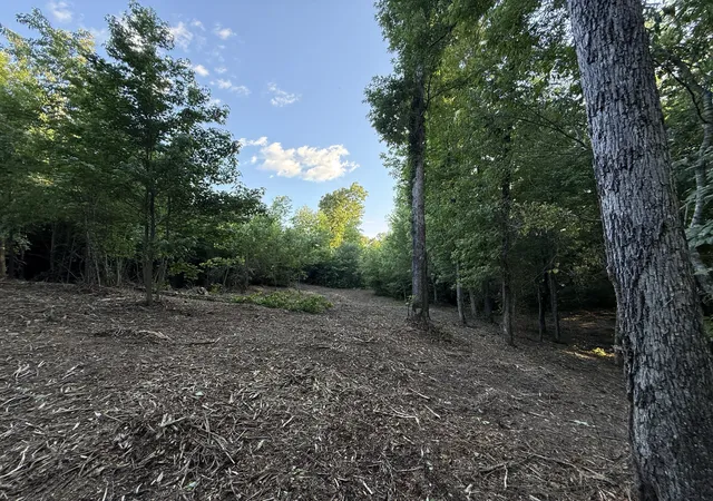 Homes for sale in Trenton, GA | 00 Hwy 301 #Lot 3 & 4, Trenton, GA 30752 | MLS# 1536051