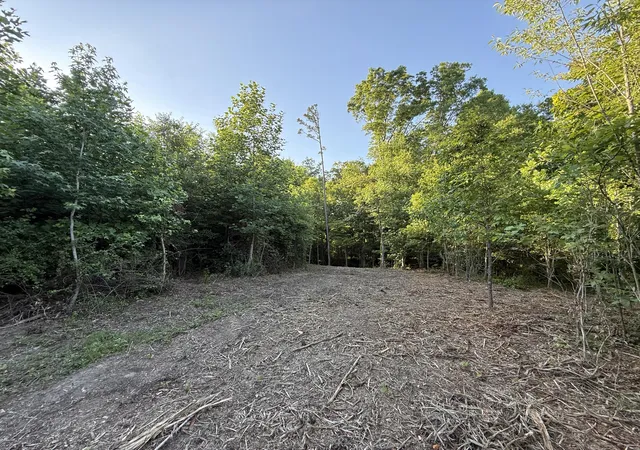 Homes for sale in Trenton, GA | 00 Hwy 301 #Lot 3 & 4, Trenton, GA 30752 | MLS# 1536051