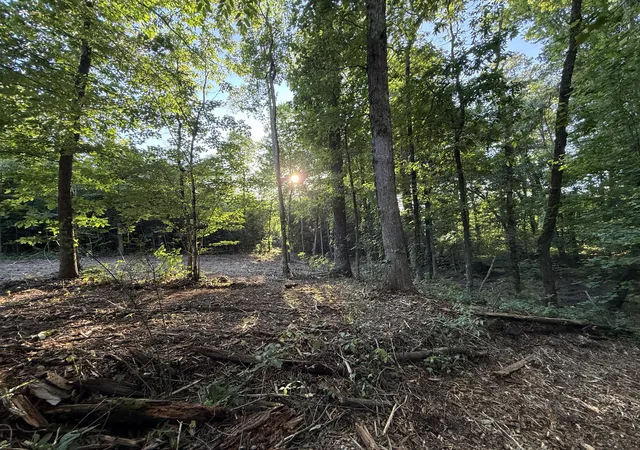 Homes for sale in Trenton, GA | 00 Hwy 301 #Lot 3 & 4, Trenton, GA 30752 | MLS# 1536051