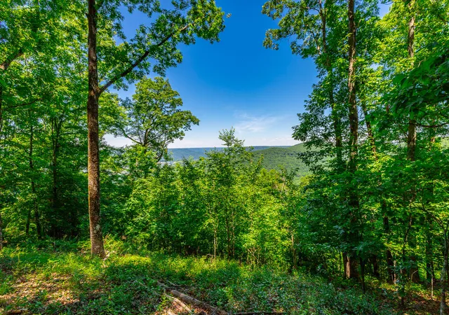 1st image of 0 Volunteer St #362, Jasper, TN 37347 | MLS# 1536270
