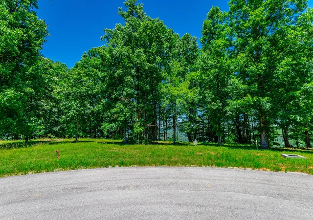 2nd image of 0 Volunteer St #362, Jasper, TN 37347 | MLS# 1536270