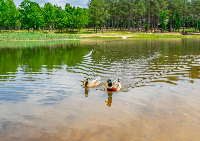 44th image of 0 Volunteer St #362, Jasper, TN 37347 | MLS# 1536270