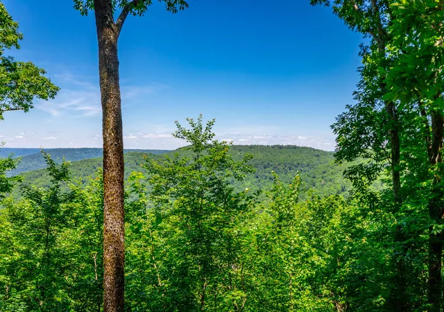Photo 3 of Land for sale at 0 Volunteer St #362, Jasper, TN 37347 | MLS# 1536270 | Listing updated on 2026-06-06