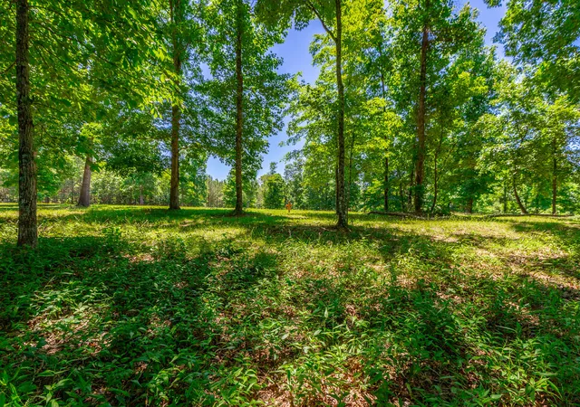 Photo 4 of Land for sale at 0 Volunteer St #362, Jasper, TN 37347 | MLS# 1536270 | Listing updated on 2026-06-06