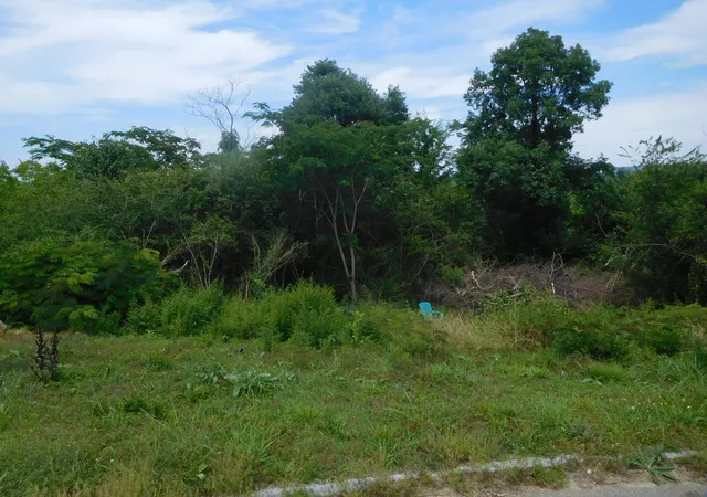 Photo 3 of Land for sale at 0 Rio Grande Rd, Chattanooga, TN 37421 | MLS# 1536139 | Listing updated on 2026-07-11