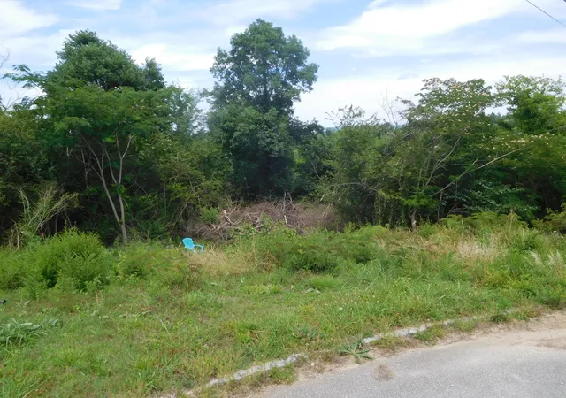 Photo 4 of Land for sale at 0 Rio Grande Rd, Chattanooga, TN 37421 | MLS# 1536139 | Listing updated on 2026-07-11
