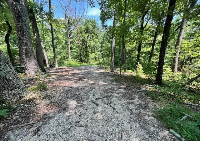 Photo 4 of Land for sale at 322 Baggett Rd, Ringgold, GA 30736 | MLS# 1536293 | Listing updated on 2026-08-30