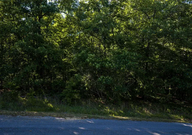 Homes for sale in Sewanee, TN | Lot 13 Horseshoe Ln, Sewanee, TN 37375 | MLS# 1536309