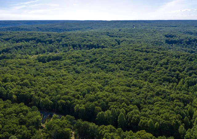 Homes for sale in Sewanee, TN | Lot 13 Horseshoe Ln, Sewanee, TN 37375 | MLS# 1536309