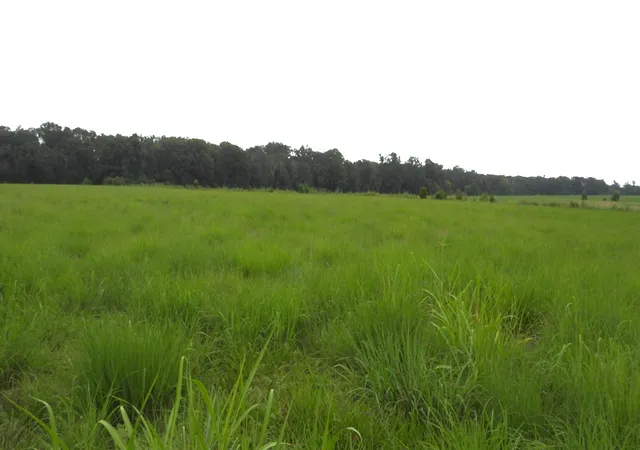 3rd image of 0 Double S Rd, Dayton, TN 37321 | MLS# 1536328