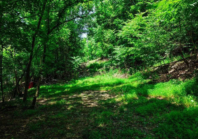 3rd image of 4825 Gann Store Rd, Hixson, TN 37343 | MLS# 1536576