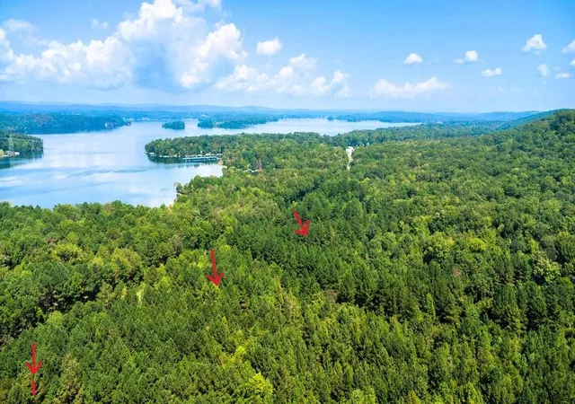 Homes for sale in Ten Mile, TN | 34 Acres State Hwy 304, Ten Mile, TN 37880 | MLS# 1536395