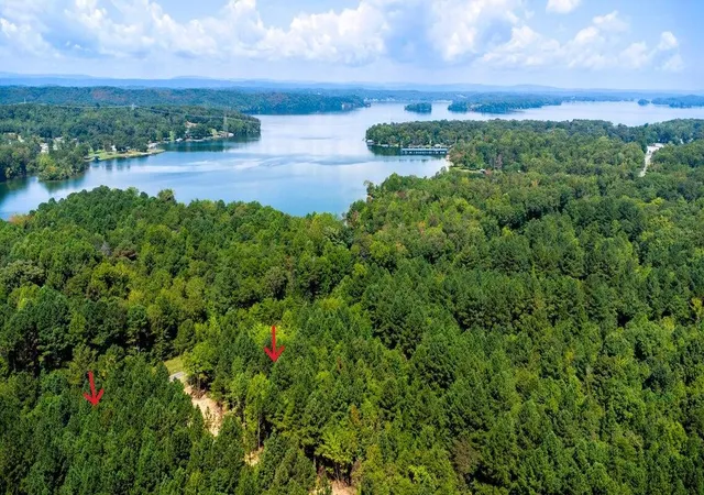Homes for sale in Ten Mile, TN | 34 Acres State Hwy 304, Ten Mile, TN 37880 | MLS# 1536395