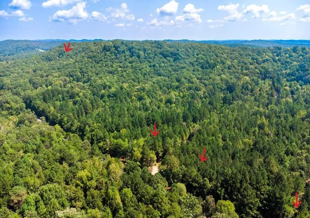 Homes for sale in Ten Mile, TN | 34 Acres State Hwy 304, Ten Mile, TN 37880 | MLS# 1536395