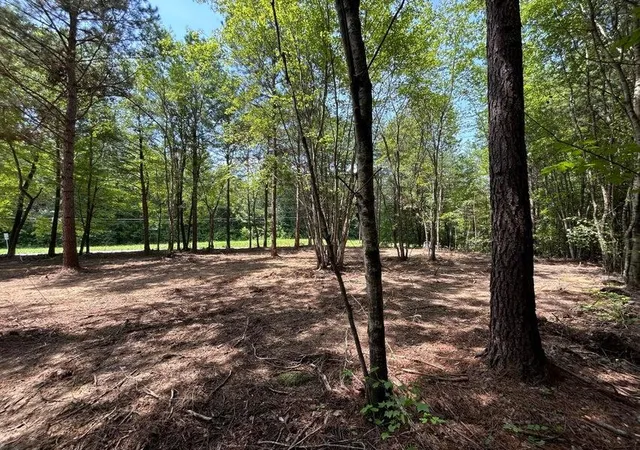 Homes for sale in Ten Mile, TN | 34 Acres State Hwy 304, Ten Mile, TN 37880 | MLS# 1536395