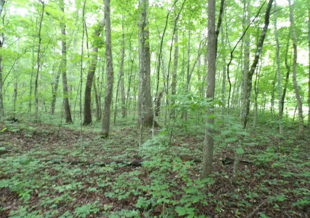 Photo 3 of Land for sale at 000 Beech Point Cir, Crossville, TN 38572 | MLS# 1536408 | Listing updated on 2026-09-15