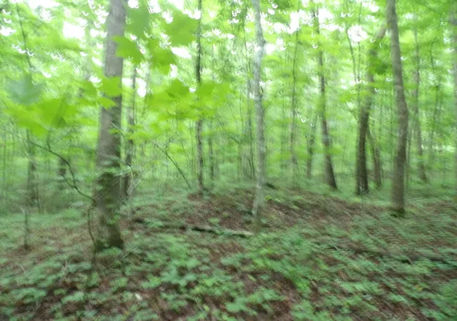 Photo 4 of Land for sale at 000 Beech Point Cir, Crossville, TN 38572 | MLS# 1536408 | Listing updated on 2026-09-15