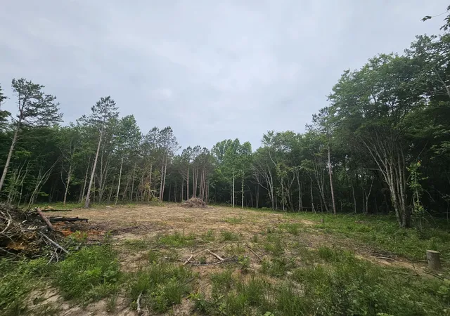 Photo 3 of Land for sale at 229 Windstone Dr, Tracy City, TN 37387 | MLS# 1536457 | Listing updated on 2026-08-04