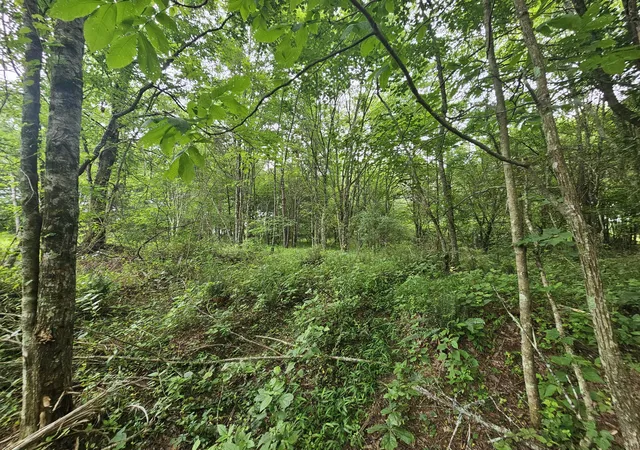 Photo 3 of Land for sale at 229 Windstone Dr, Tracy City, TN 37387 | MLS# 1536457 | Listing updated on 2026-08-04