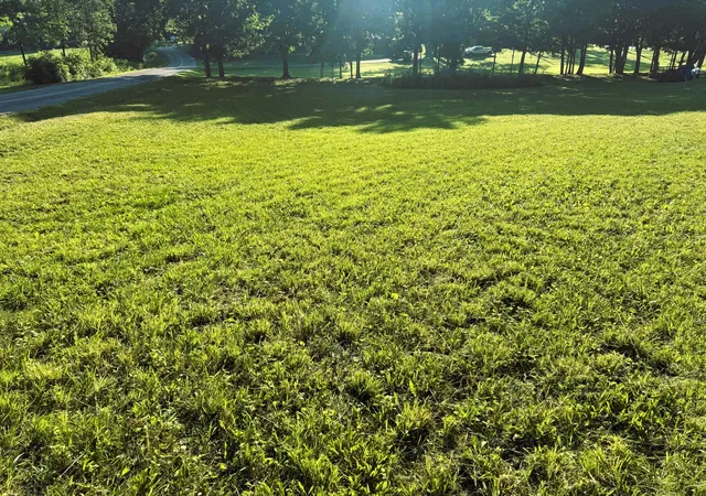 Land for sale at 00 County Rd 571, Englewood, TN 37329 | MLS# 1536473