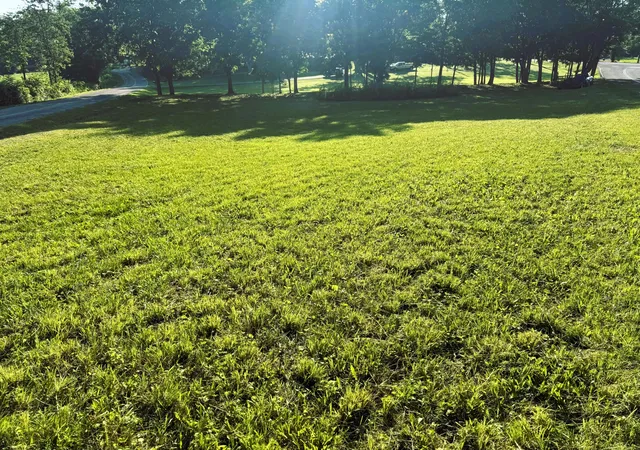 Photo 3 of Land for sale at 00 County Rd 571, Englewood, TN 37329 | MLS# 1536473 | Listing updated on 2026-09-23