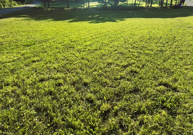 Photo 4 of Land for sale at 00 County Rd 571, Englewood, TN 37329 | MLS# 1536473 | Listing updated on 2026-09-23