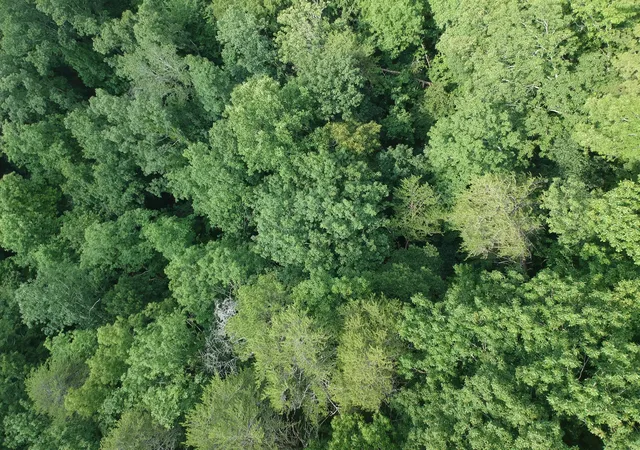 10th image of 5908 Crestview Dr, Hixson, TN 37343 | MLS# 1536806