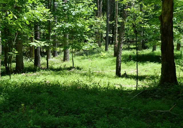 Photo 1 of Land for sale at 3256 Summer City, Pikeville, TN 37367 | MLS# 1536472 | Listing updated on 2026-08-20