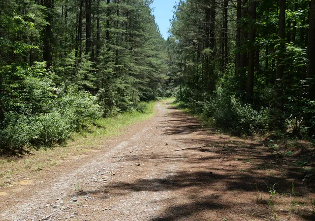 Photo 2 of Land for sale at 3256 Summer City, Pikeville, TN 37367 | MLS# 1536472 | Listing updated on 2026-08-20